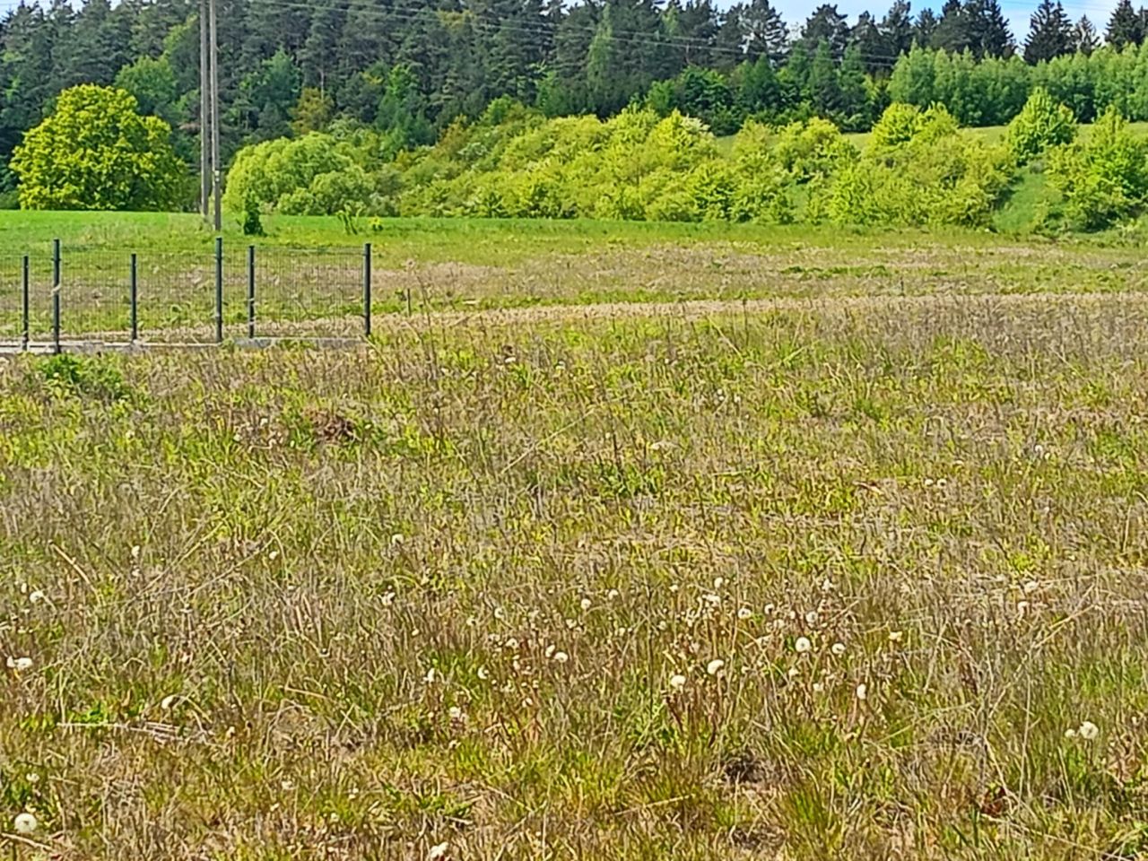 Działka budowlana Oracze. Zdjęcie 6