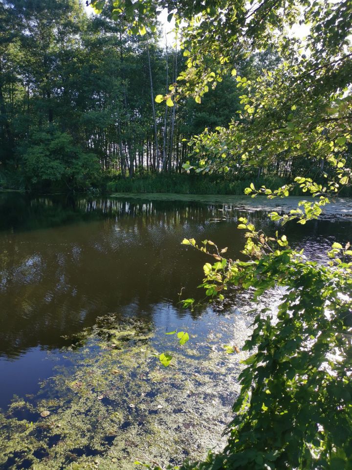 Działka rekreacyjna Wólka Zamkowa. Zdjęcie 5