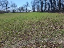 Działka rolno-budowlana Siemiony. Zdjęcie 1