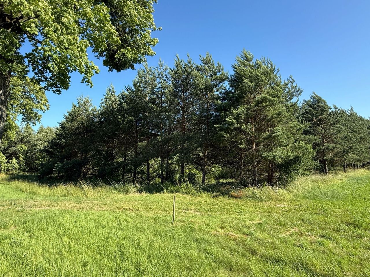 Działka budowlana Przezmark. Zdjęcie 6