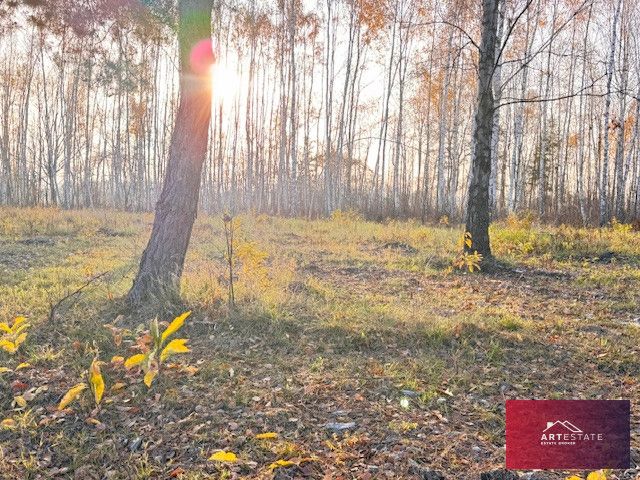 Działka budowlana Nowomłyny. Zdjęcie 12