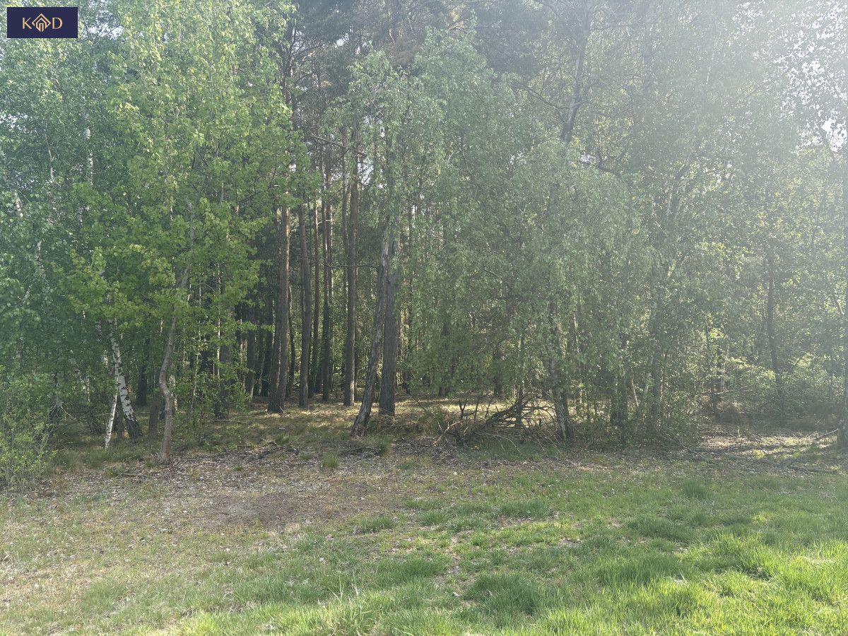 Działka budowlana Wierzchy. Zdjęcie 12
