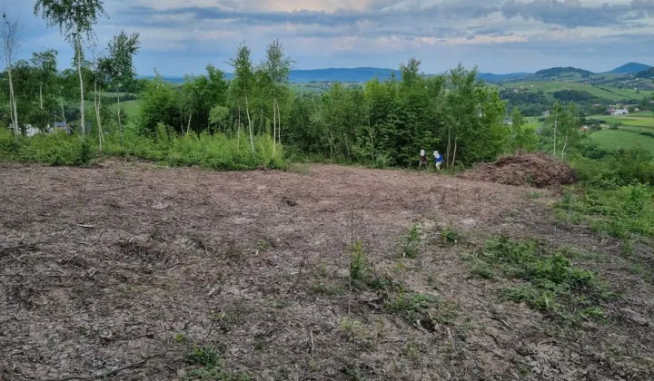 Działka rolno-budowlana Posadowa Mogilska
