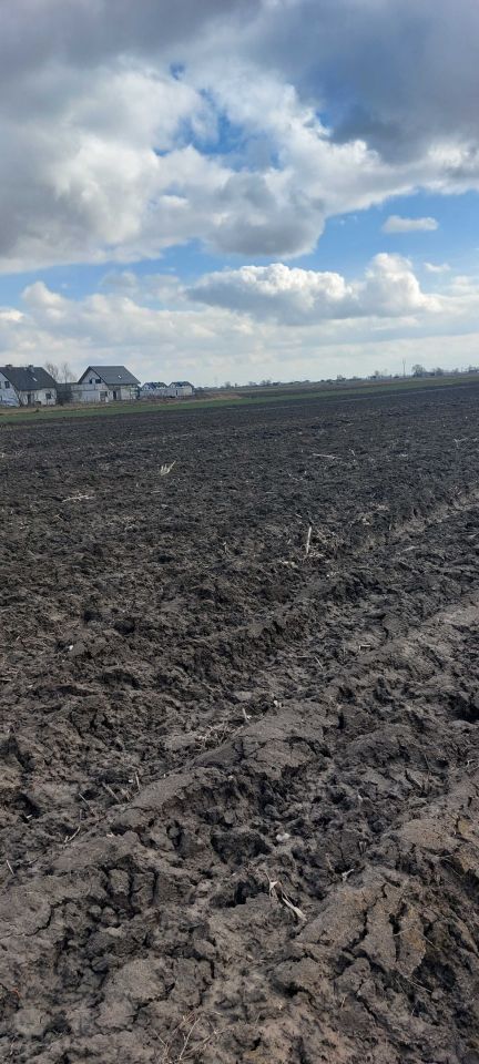 Działka budowlana Zaborówek. Zdjęcie 3