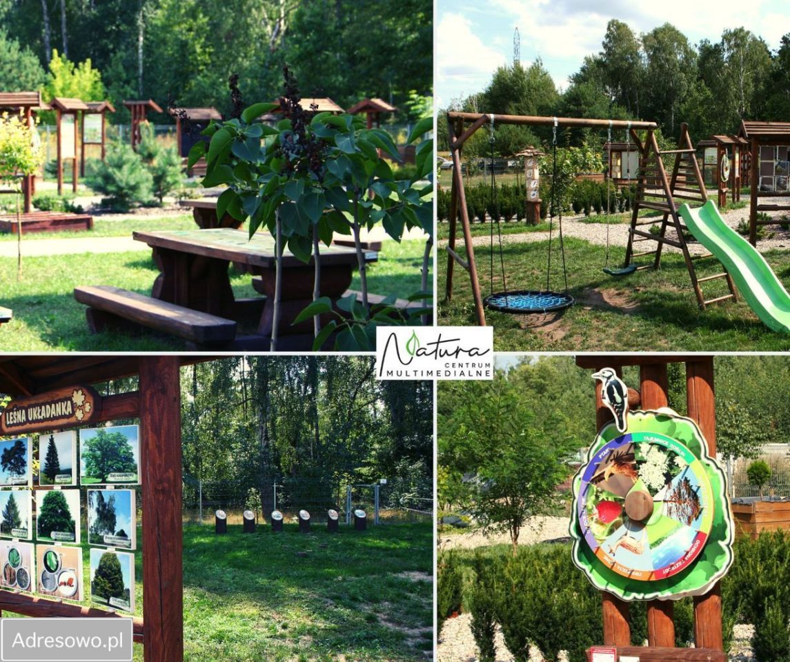 Lokal Ostrołęka. Zdjęcie 2