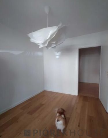 Mieszkanie 2-pokojowe Warszawa Targówek, ul. Hodowlana. Zdjęcie 2