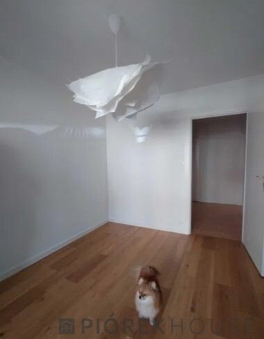 Mieszkanie 2-pokojowe Warszawa Targówek, ul. Hodowlana. Zdjęcie 2