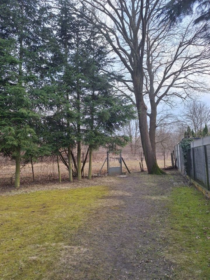 Działka rod Pabianice, ul. Jana Pawła II. Zdjęcie 5