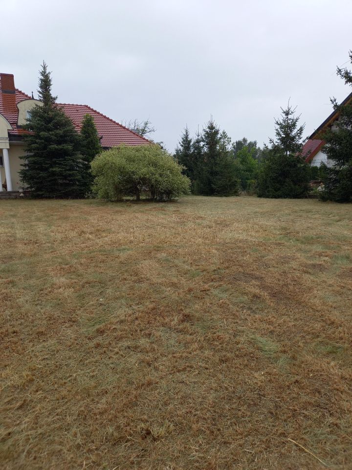 Działka budowlana Łagów, ul. Kolonia. Zdjęcie 7