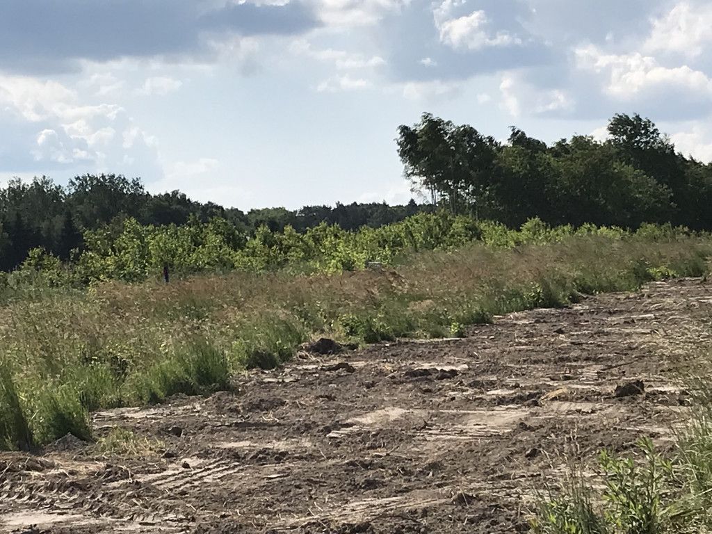 Działka budowlana Kraków Bronowice Małe, ul. ks. Stanisława Truszkowskiego. Zdjęcie 6