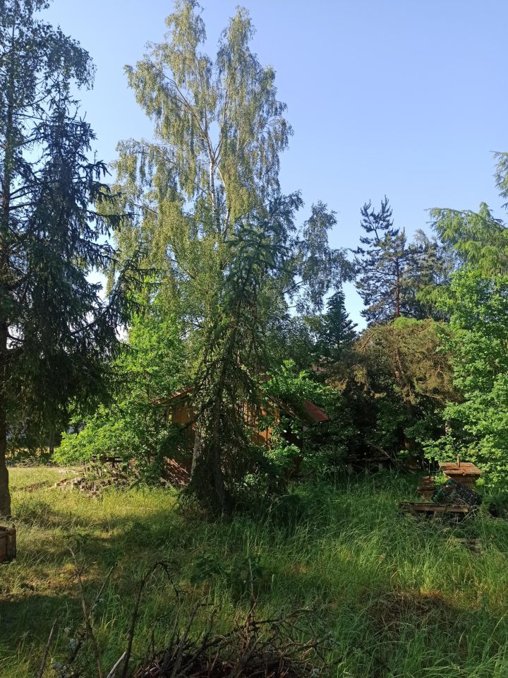 Działka budowlana Skrzeszewo, ul. Cytrynowa. Zdjęcie 6