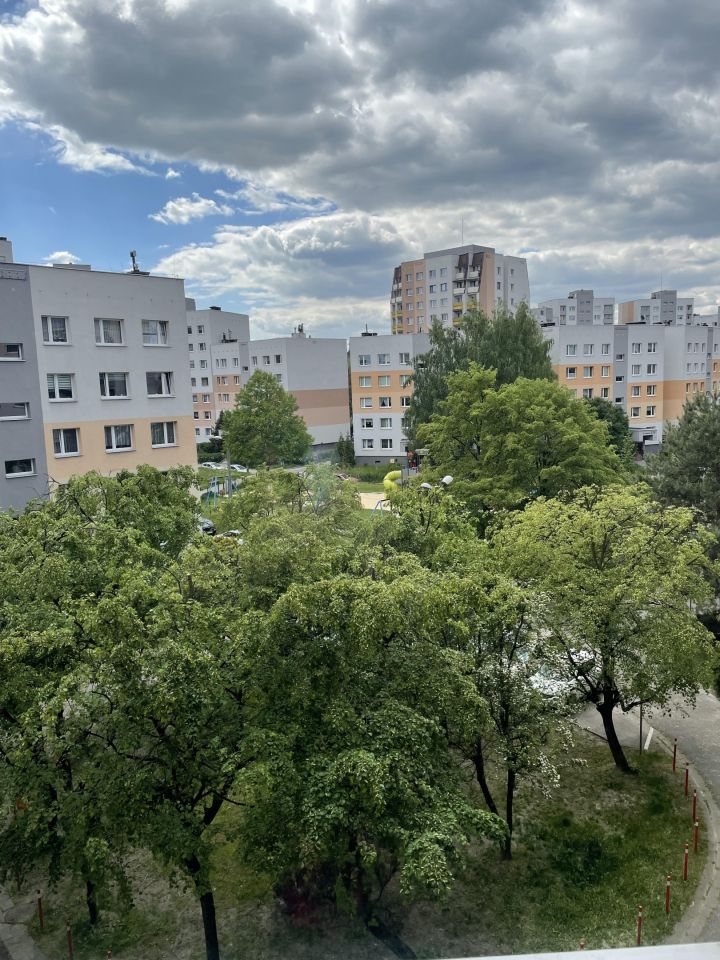 Mieszkanie 1-pokojowe Katowice Ochojec, ul. Marcina Radockiego. Zdjęcie 17