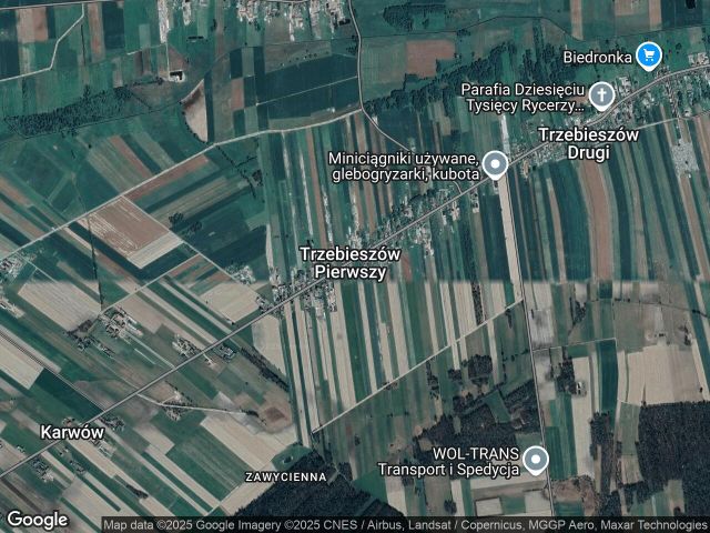 Działka rolno-budowlana Trzebieszów Pierwszy. Zdjęcie 1