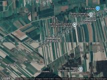 Działka rolno-budowlana Trzebieszów Pierwszy