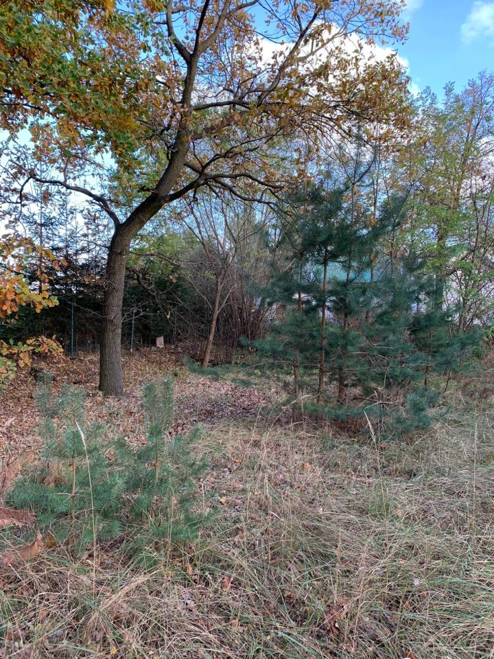 Działka budowlana Grębocin Kolonia Papowska, ul. Okrężna. Zdjęcie 11
