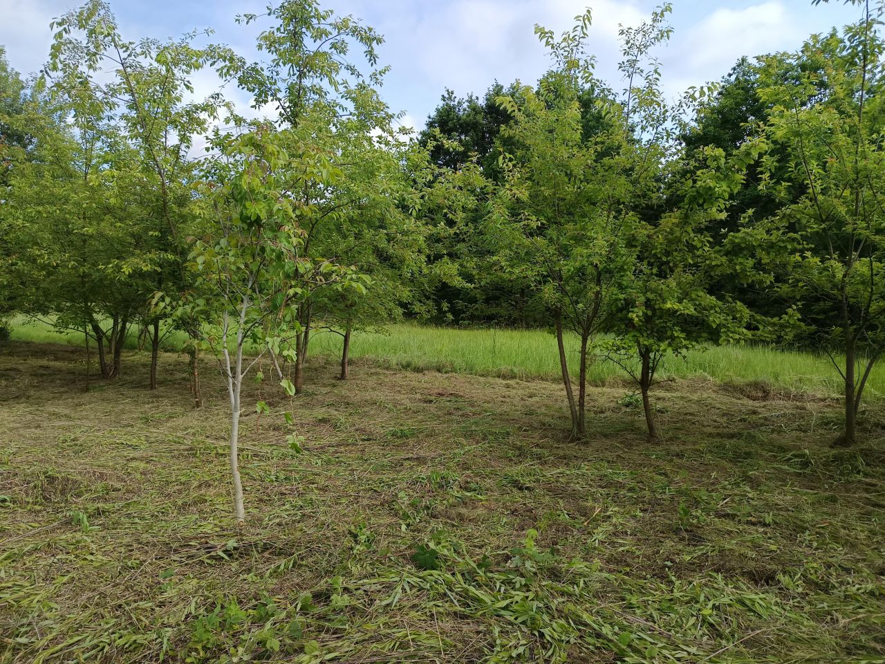 Działka rolna Mielec Cyranka, ul. Cyranowska. Zdjęcie 9