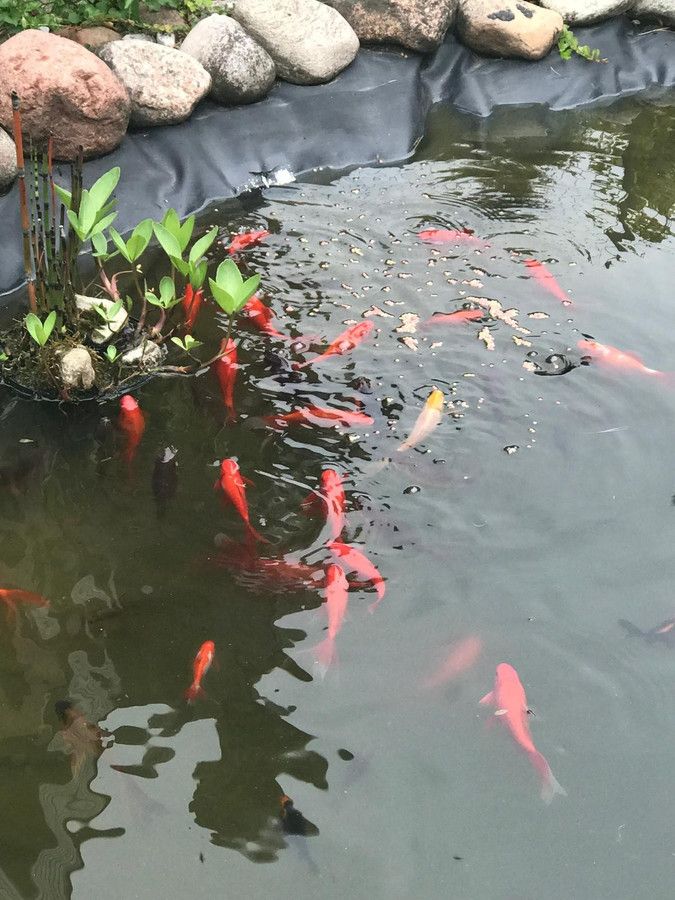 Działka rod Prawda. Zdjęcie 5