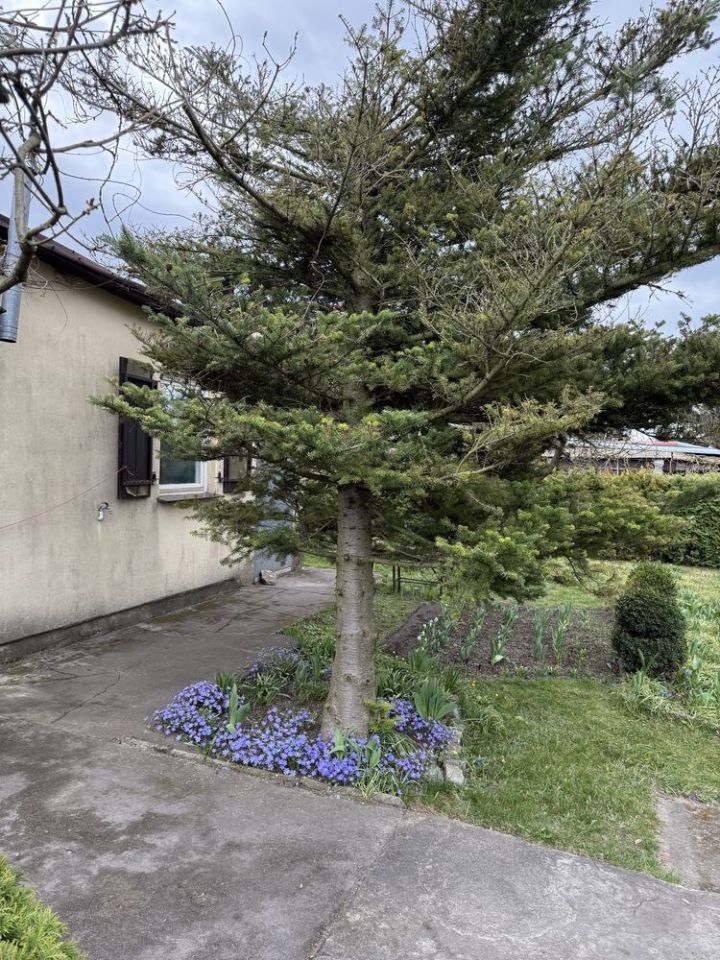 Działka rekreacyjna Poznań Smochowice, ul. Wichrowa. Zdjęcie 3