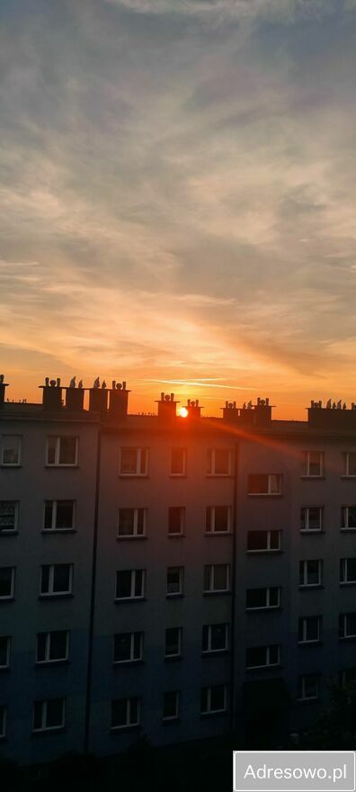 Mieszkanie 2-pokojowe Zdzieszowice, ul. Akacjowa. Zdjęcie 1