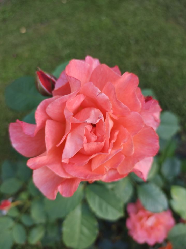 dom wolnostojący, 6 pokoi Mniów Raszówka, ul. Raszówka. Zdjęcie 26