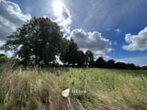 Działka rolna Harsz. Zdjęcie 4