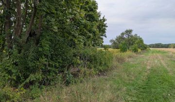 Działka budowlana Borów