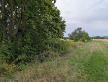 Działka budowlana Borów. Zdjęcie 1