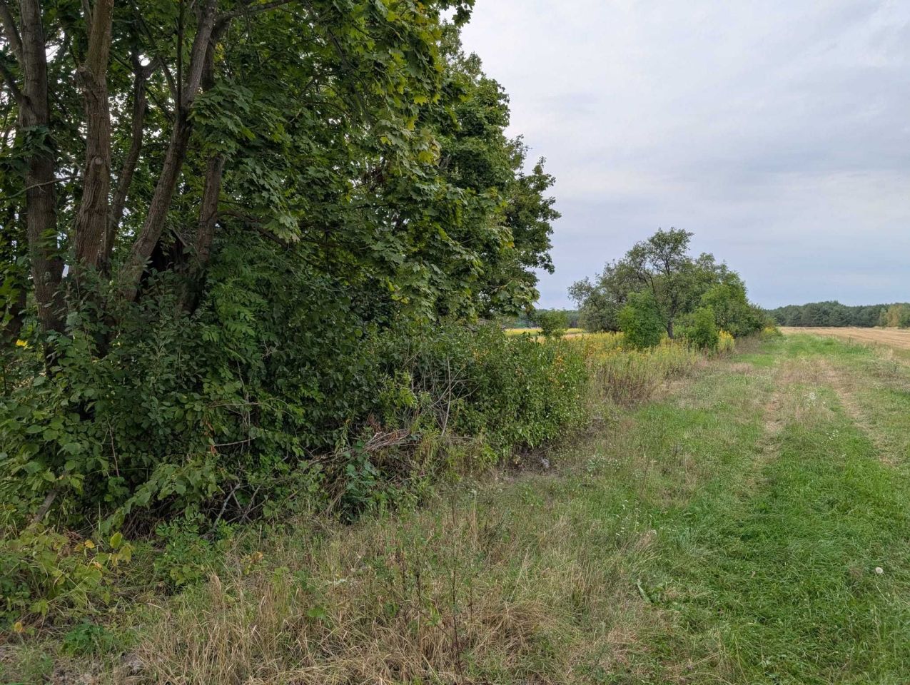 Działka budowlana Borów. Zdjęcie 2