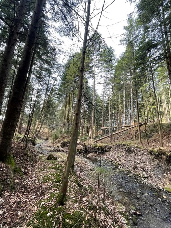 Działka budowlana Pewel Wielka. Zdjęcie 3