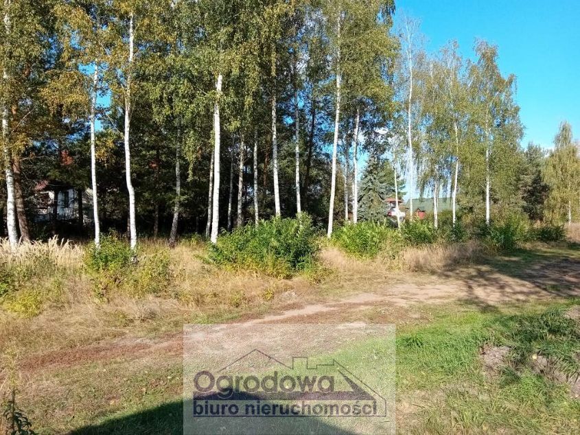 Działka budowlana Stare Załubice. Zdjęcie 1