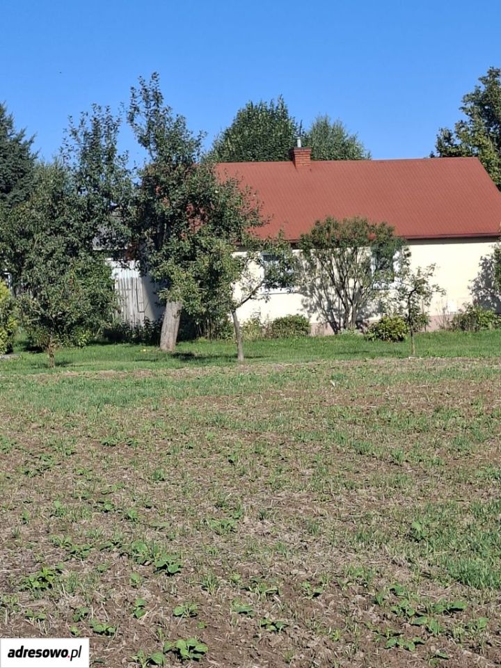 Działka siedliskowa Miłocin. Zdjęcie 2