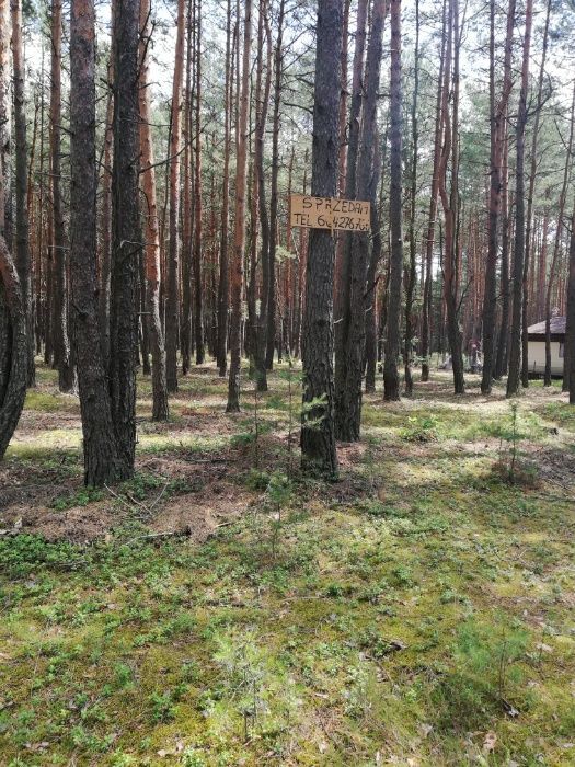 Działka rekreacyjna Masłońskie. Zdjęcie 5