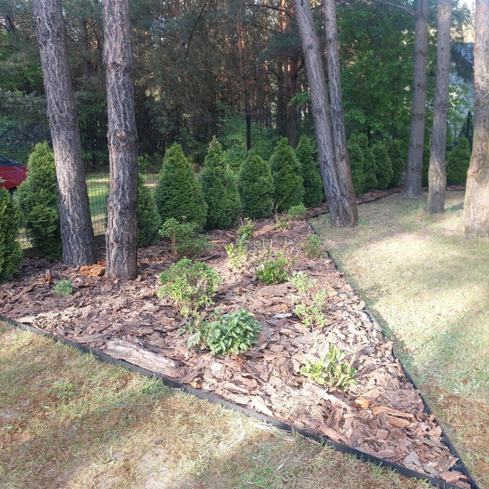 Działka budowlana Mauryców, ul. Sosnowa. Zdjęcie 19