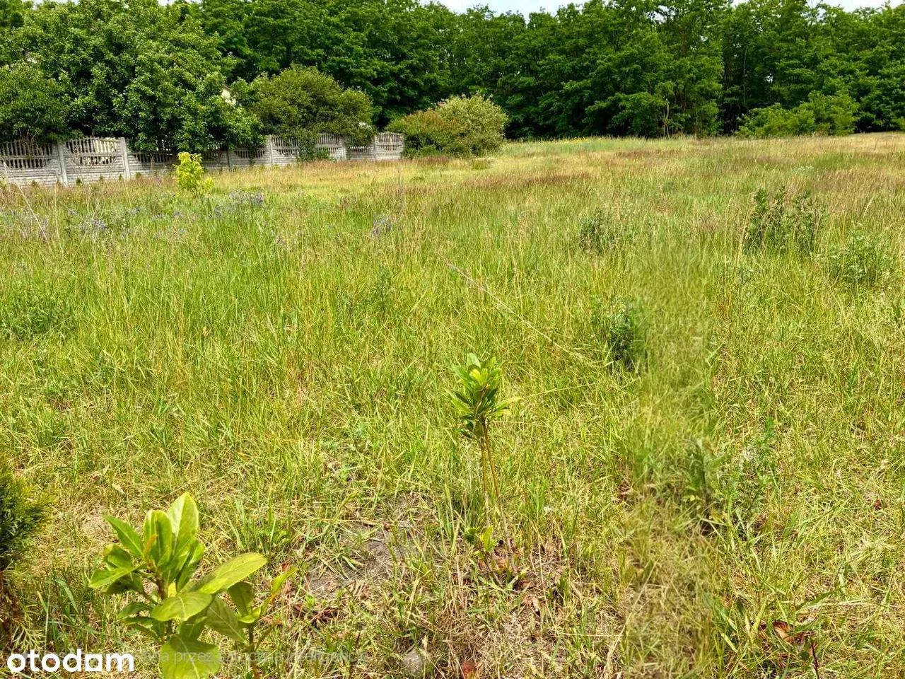 Działka budowlana Gajówka-Kolonia. Zdjęcie 8