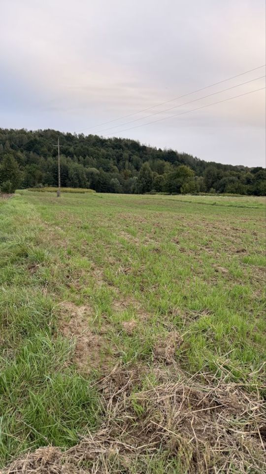 Działka rolna Barwałd Dolny. Zdjęcie 7