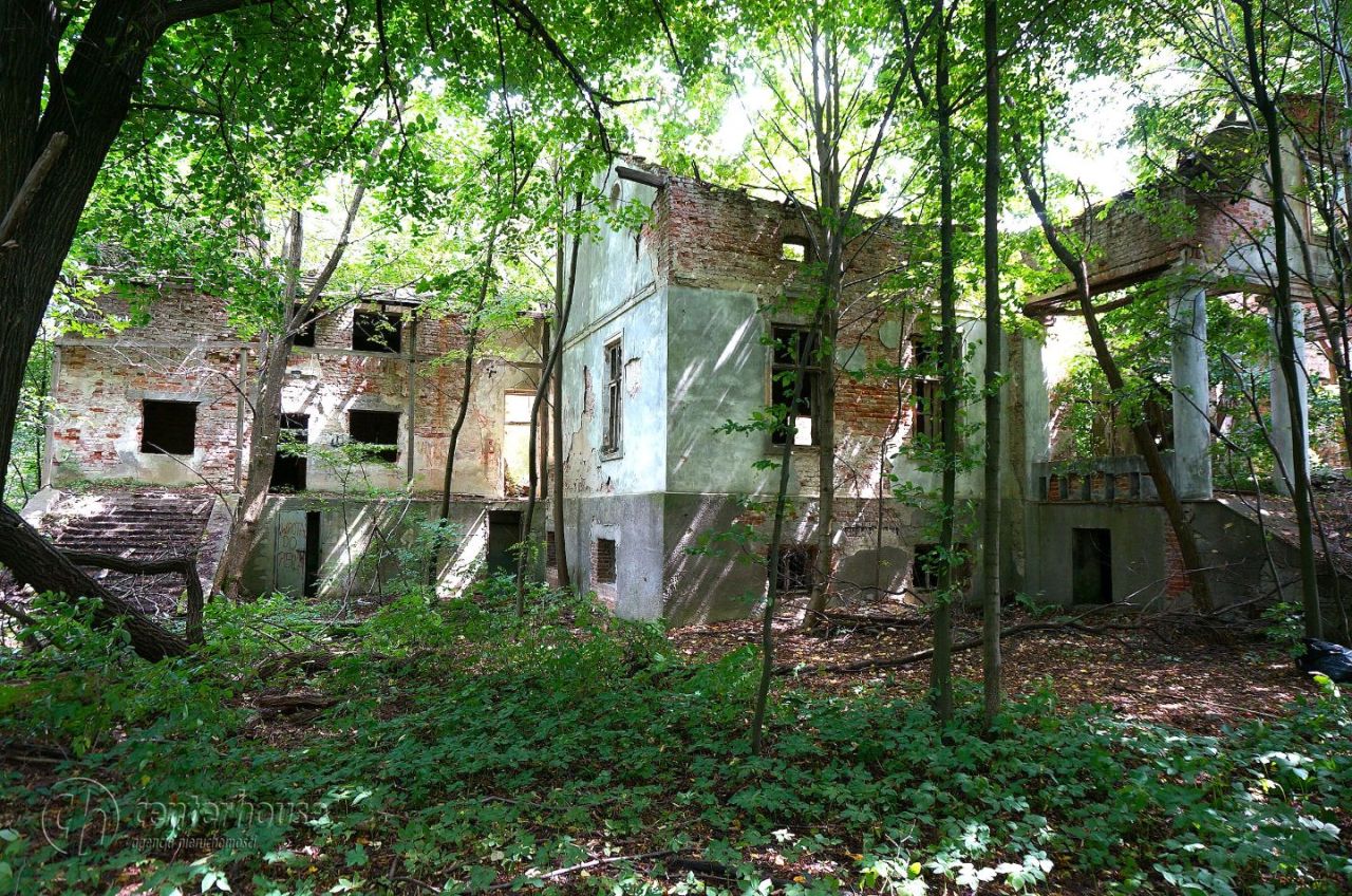 dworek Dąbrowica. Zdjęcie 22