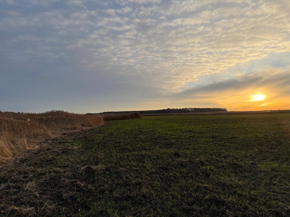 Działka rolna Oleśniczka. Zdjęcie 8