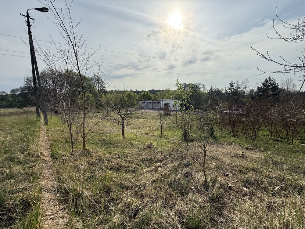 Działka rolno-budowlana Lipno. Zdjęcie 5