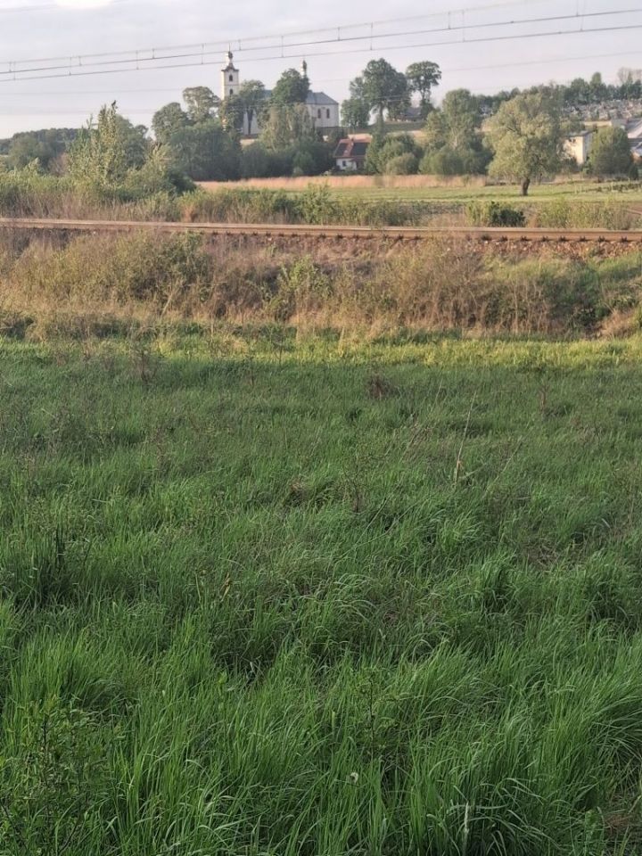 Działka budowlana Brzeziny. Zdjęcie 2