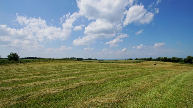 Działka inwestycyjna Łęcze. Zdjęcie 7