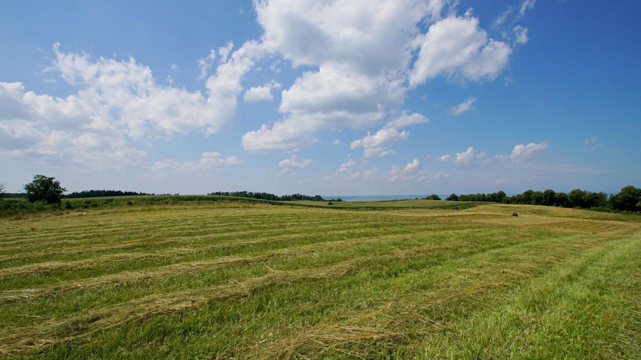 Działka inwestycyjna Łęcze. Zdjęcie 7