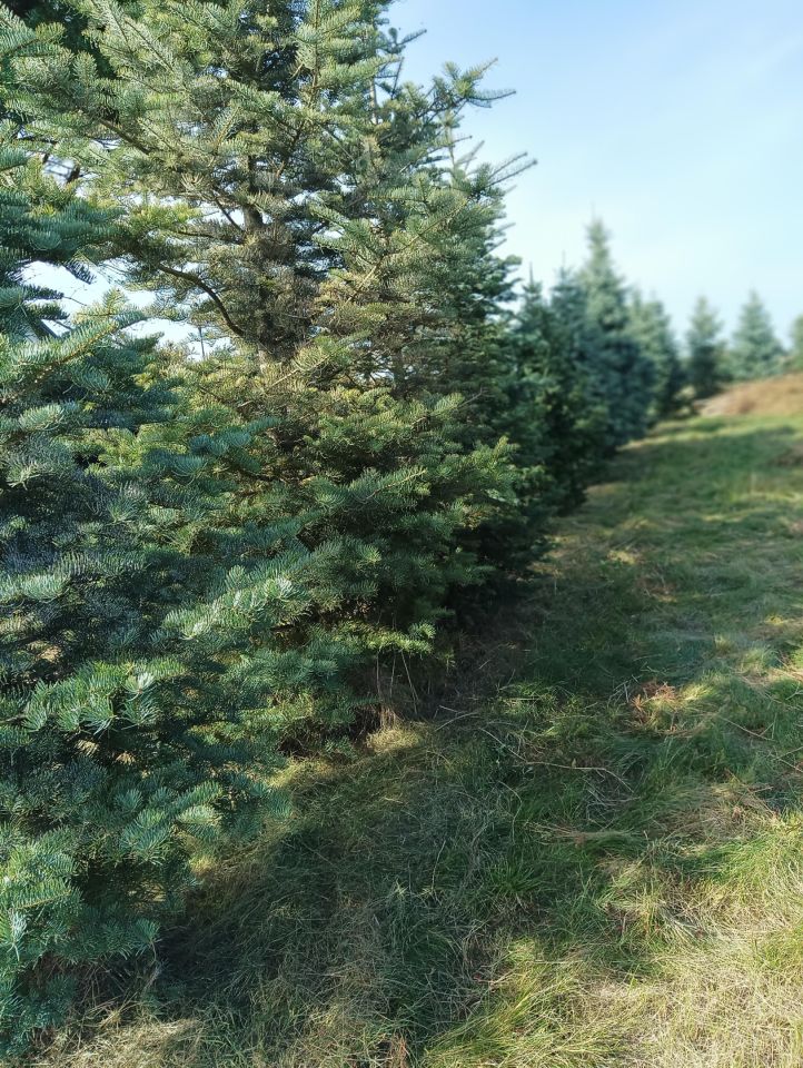 Działka rolno-budowlana Kowalewice, 42. Zdjęcie 8
