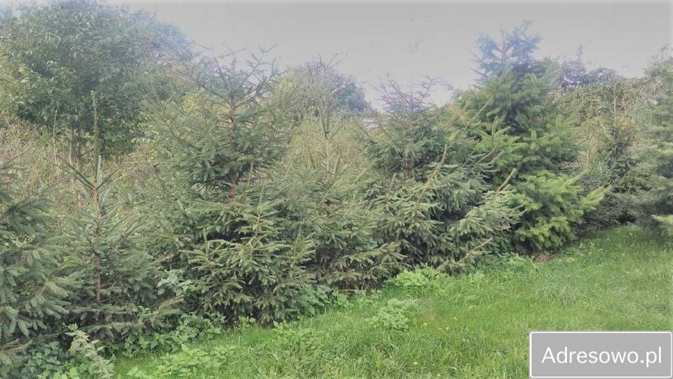 dom szeregowy, 5 pokoi Jaraczewo, ul. Kaliska. Zdjęcie 4