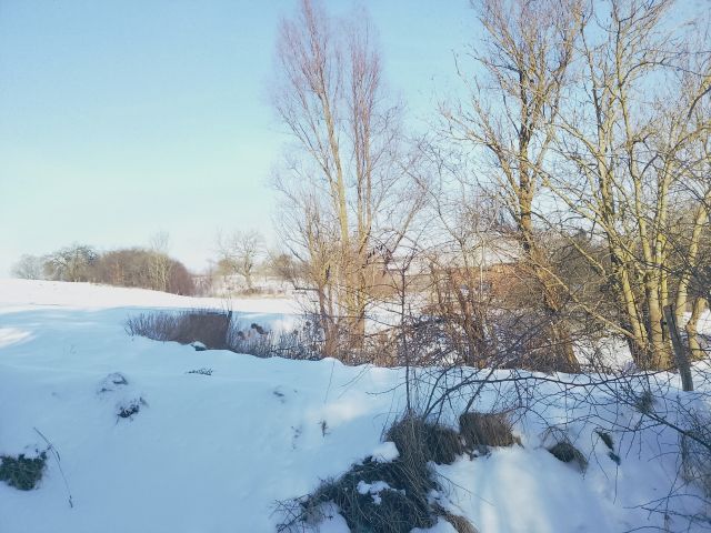 Działka rolna Miłosna. Zdjęcie 1