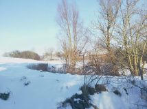 Działka rolna Miłosna