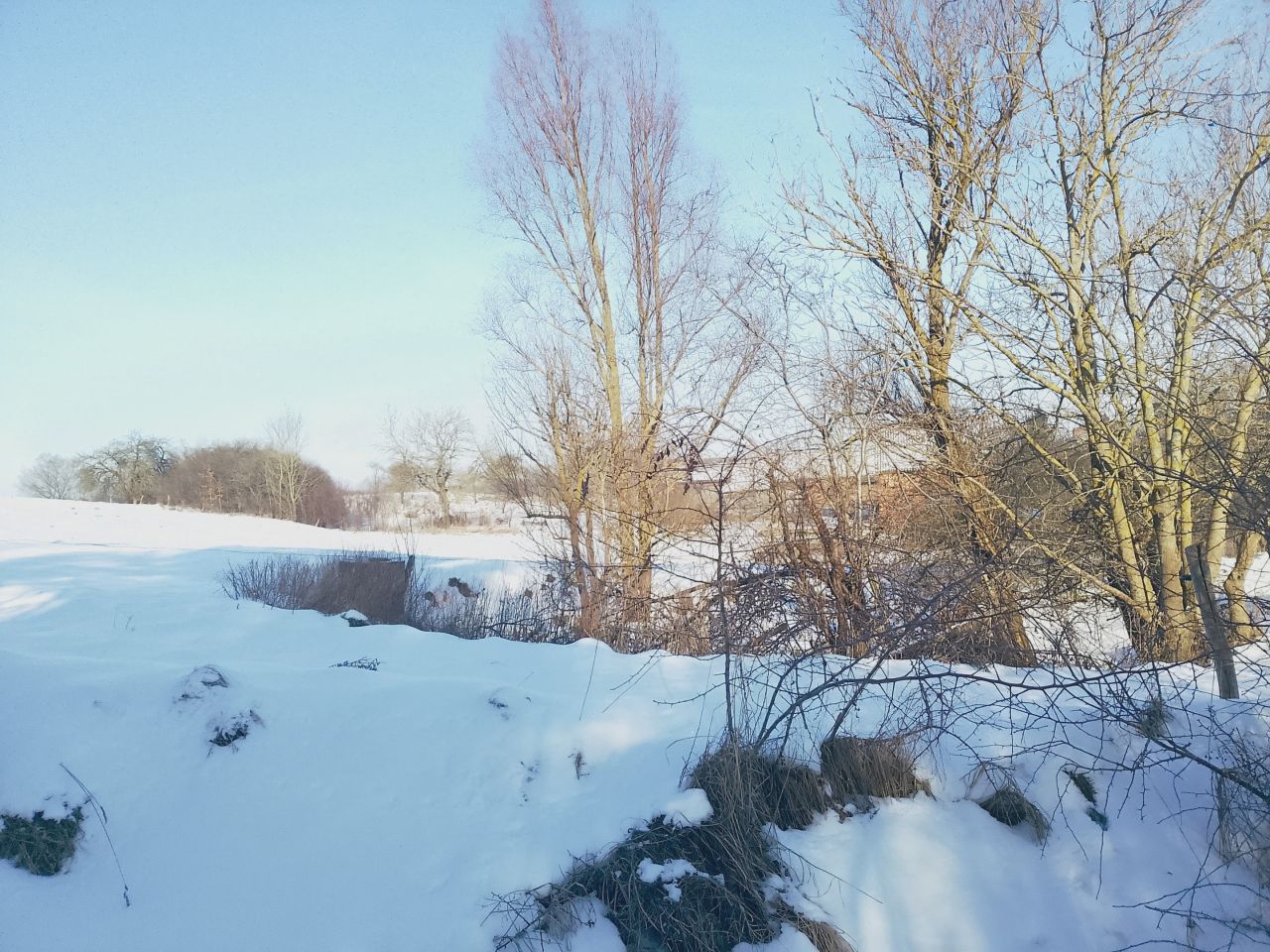 Działka rolna Miłosna