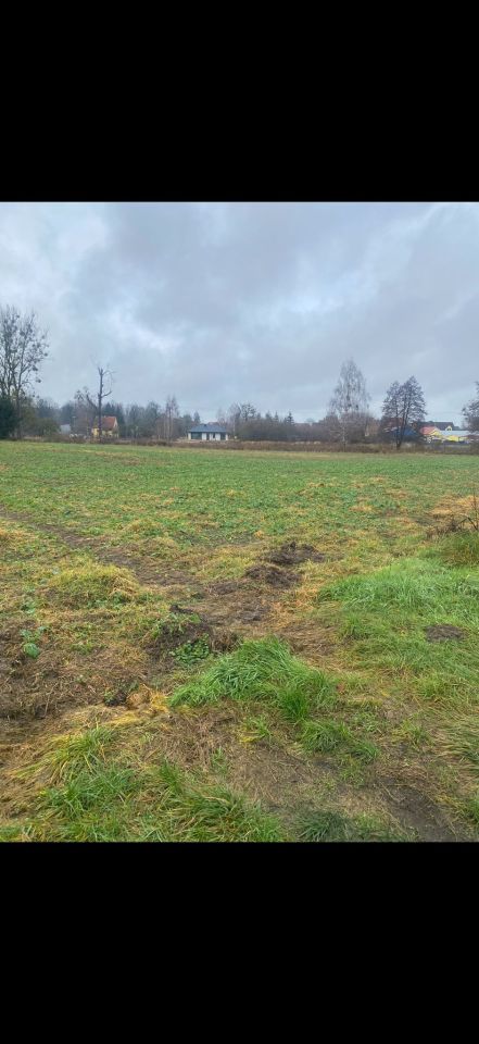 Działka budowlana Dębno, ul. Bolesława Śmiałego. Zdjęcie 4