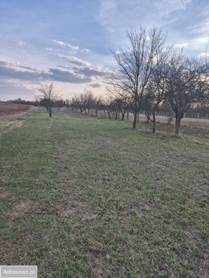 Działka rolna Kępa Nadbrzeska. Zdjęcie 4