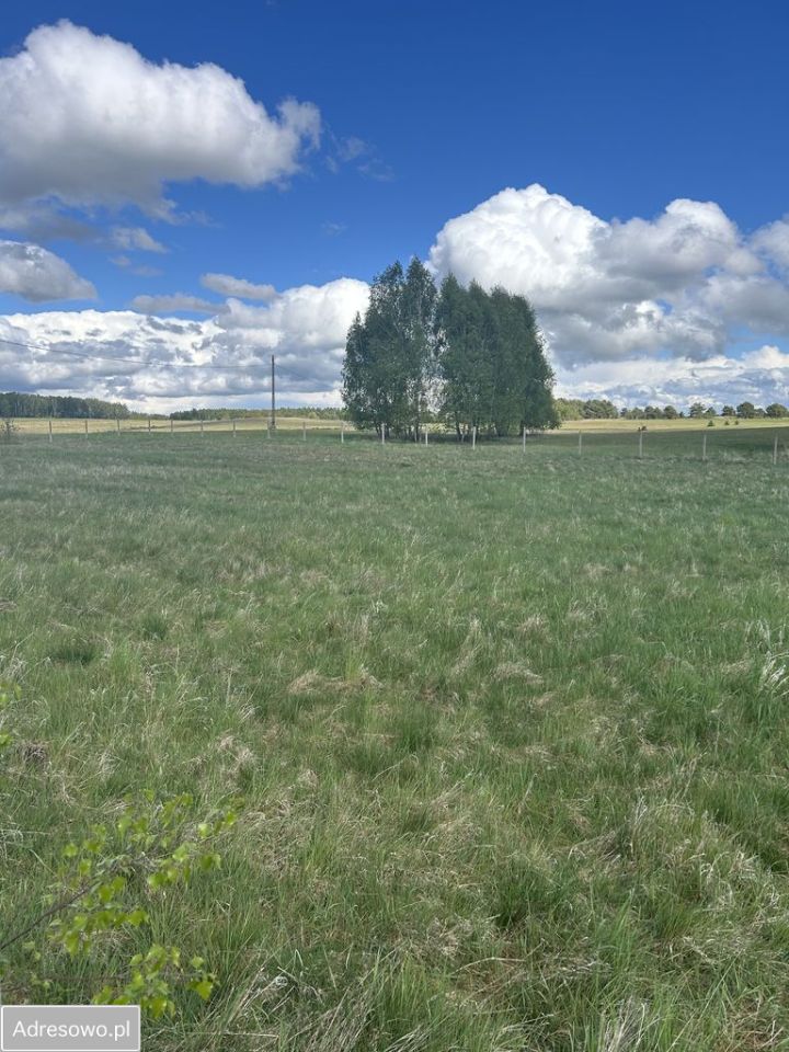 Działka inwestycyjna Siecino. Zdjęcie 1