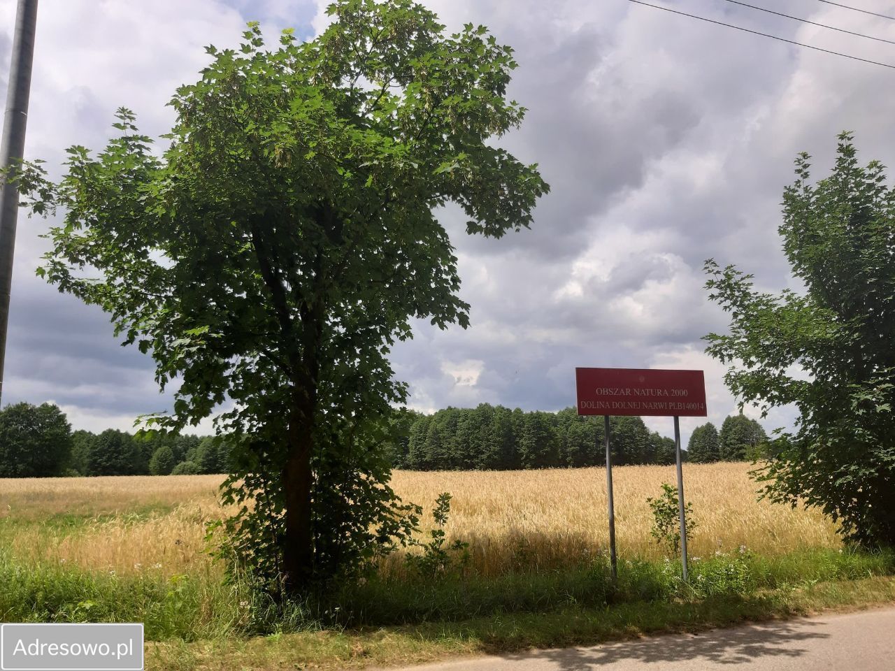 Działka rekreacyjna Rogóźno. Zdjęcie 2